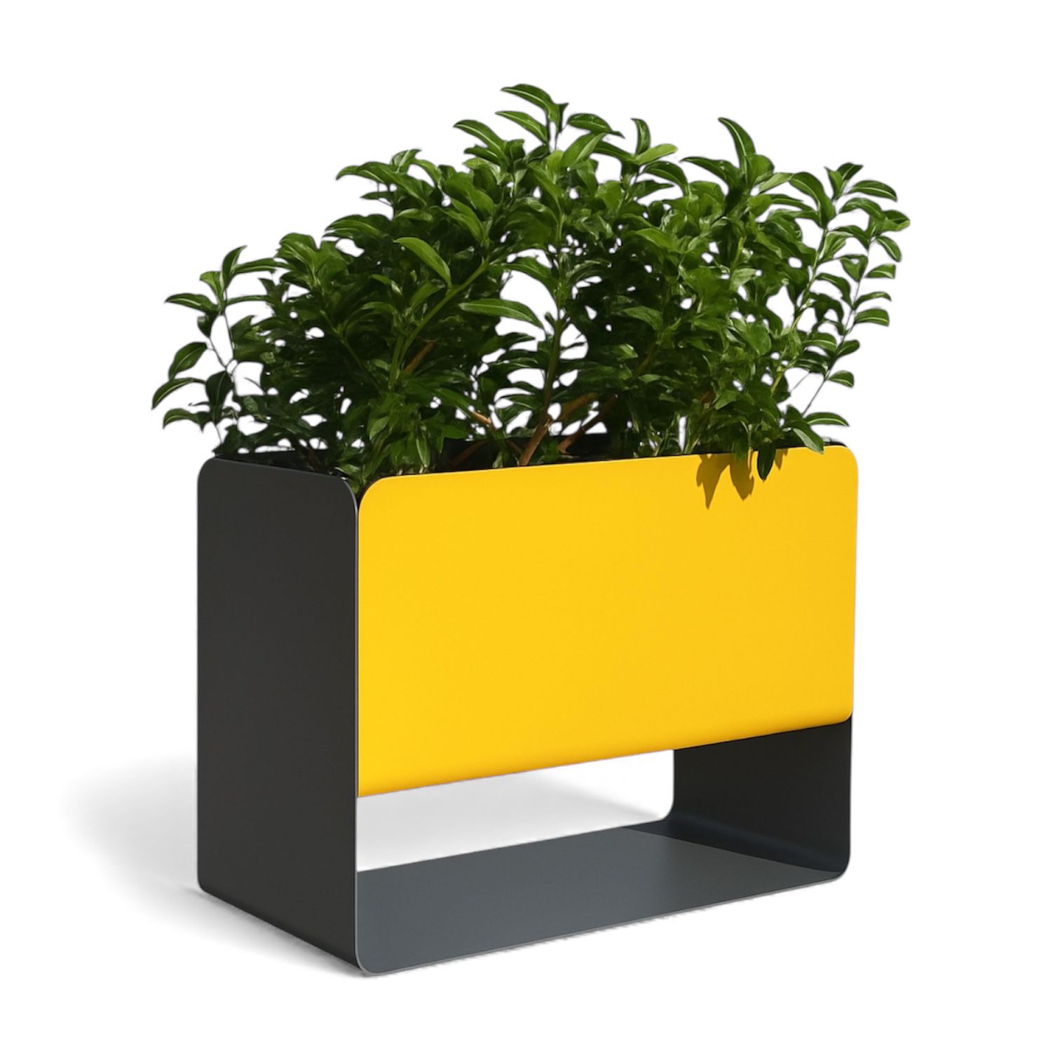 WhatsApp Image 2025-12-11 at 23.55.43 (2)