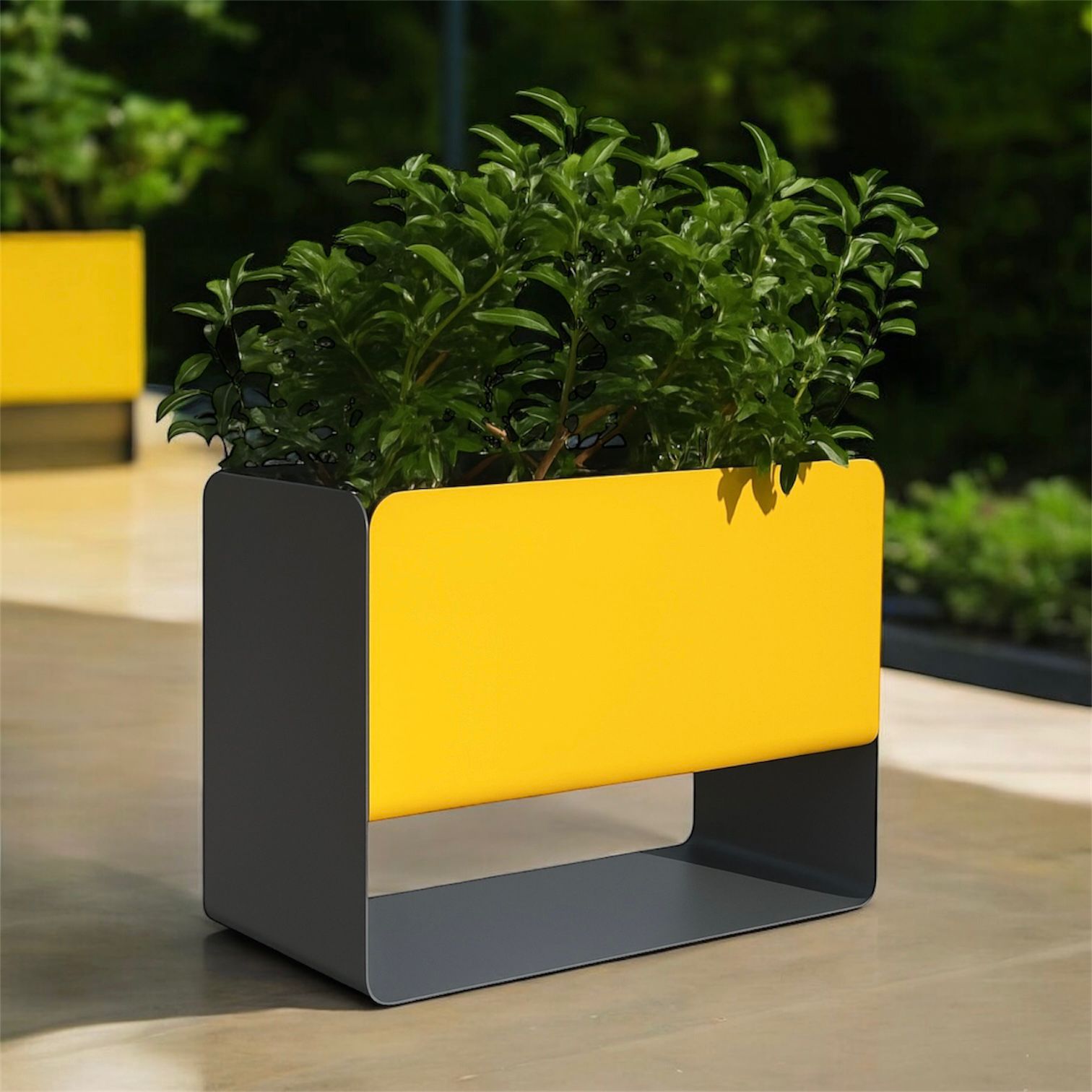 WhatsApp Image 2025-12-11 at 23.55.43 (3)